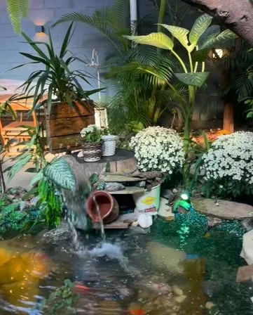 Pequeno lago com água escura e peixes no quintal da HB
